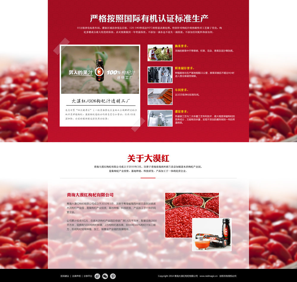 青海大漠紅枸杞網(wǎng)站建設(shè)項目